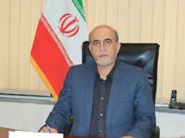 دکتر سید محمد حسینی مشاور رییس دانشگاه در امور بیمه شد