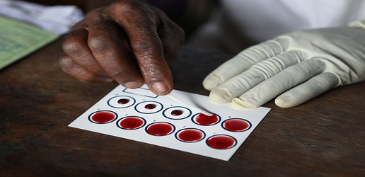 African scientists call for more control of their continent’s genomic data