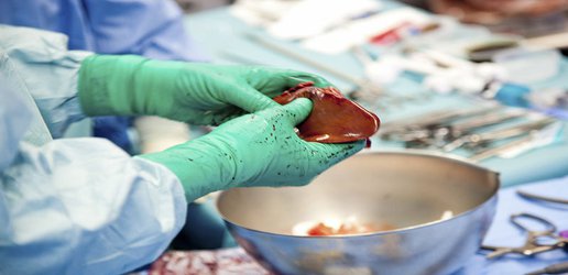 ‘Warm transplants’ save livers and lives