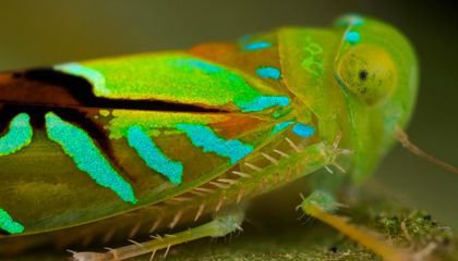The Wild World of a New Nature Preserve in Ecuador