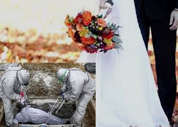عروسی کرونایی در بوشهر موجب عزا شد/ عروس و داماد بستری هستند