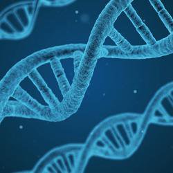Researchers call for greater awareness of unintended consequences of CRISPR gene editing