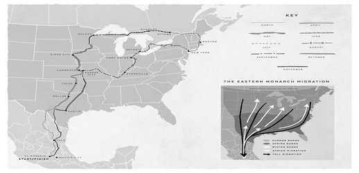 What I Learned Biking the 10,000-Mile Migration Route of Monarch Butterflies