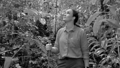 Watch These Two Videos and You Will Feel More Hopeful About the Future of Tropical Forests