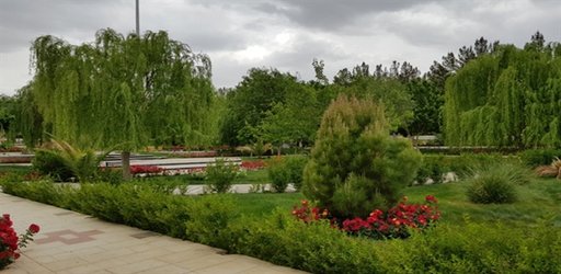 سمفونی زیبای  رنگها وطراوت ولطافت بهاری در دانشگاه سیستان وبلوچستان از دریچه دوربین –فروردین 1397(گزارش تصویری)