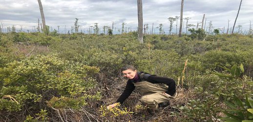 Why Ecologists Are Haunted by the Rapid Growth of Ghost Forests