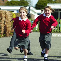 Physical activity may help to close the wealth gap in school attainment by improving self-control