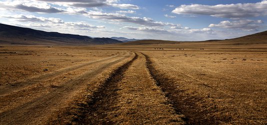 Grassland plants show surprising appetite for carbon dioxide