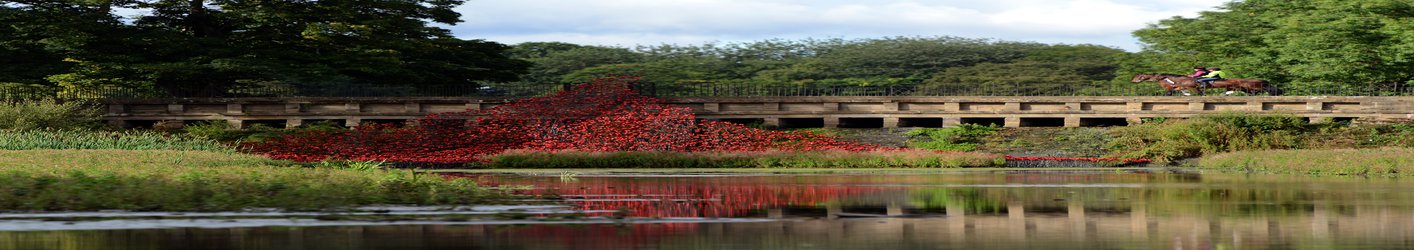 This Stunning Memorial to Britain's WWI Soldiers Makes Its Final Appearance