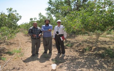 پروژه تحقیقاتی "ارزیابی مدیریت بهره برداری سامانه‌های آبیاری تحت‌فشار در باغات استان سمنان" اجرا شد.