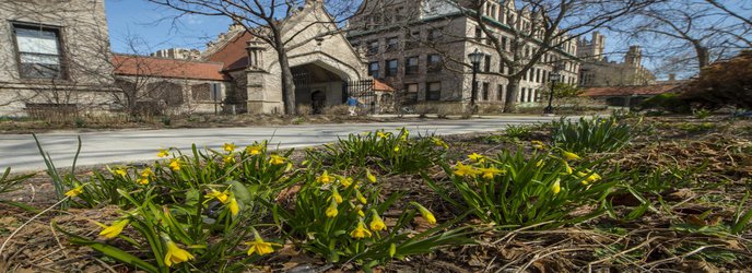 Fifteen faculty elected to American Academy of Arts and Sciences