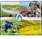انجام قرارداد پژوهشی برون دانشگاهی"نقش گردشگری کشاورزی در توسعه بخش کشاورزی استان گلستان" توسط محققان دانشگاه گلستان