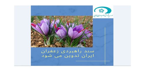 سند راهبردی زعفران ایران تدوین می‌شود