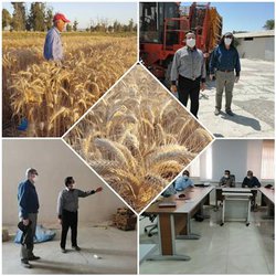 بازدید سرپرست مرکز تحقیقات و آموزش کشاورزی و منابع طبیعی استان فارس