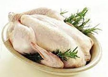 کارشناس مسئول واحد بهبود تغذیه شبکه بهداشت و درمان دشتستان:
مرغ‌های سایز کوچک سالم‌تر هستند
