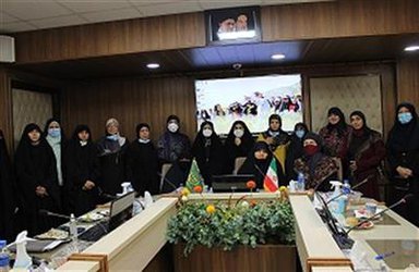 دفتر توسعه فعالیت‌های زنان روستایی و عشایری در یک نشست تخصصی ، میزبان نمایندگانی از کشورهای عربی شد