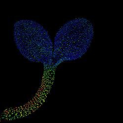 Putting plants under the microscope