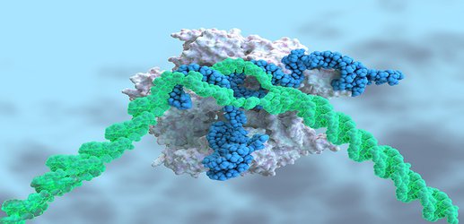 Landmark CRISPR trial shows promise against deadly disease