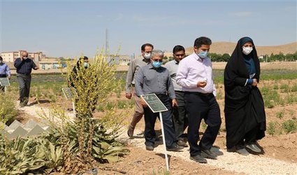 از تحقق عملی دانشگاه کارآفرین تا امکان ایجاد اکوتوریسم گیاهان دارویی