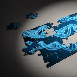 Rare genetic variants confer largest increase in type 2 diabetes risk seen to date