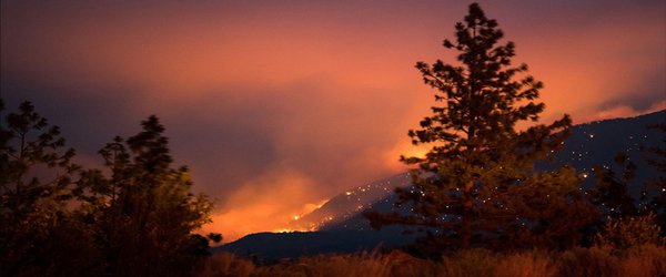 Climate change made North America’s deadly heatwave 150 times more likely