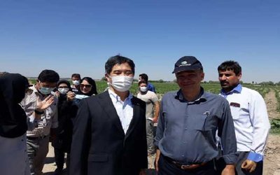 بازدید سفیر ژاپن به همراه رئیس موسسه تحقیقات فنی و مهندسی و محققان مرکز تحقیقات و آموزش کشاورزی و منابع طبیعی آذربایجان شرقی از روند اجرای پروژه استقرار کشاورزی پایدار