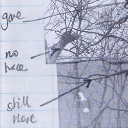 Transcribing together