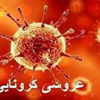 بازداشت داماد فسایی بخاطر برگزاری عروسی خانگی بدون رعایت پروتکل های بهداشتی