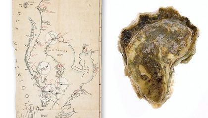 This Map Details Florida's Disappearing Native American Landscape