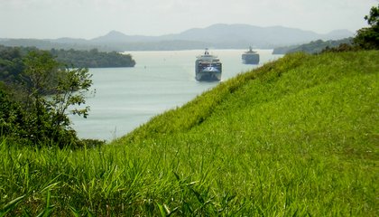 Despite a Century of Protection, This Island Suffers Critical Loss in Biodiversity