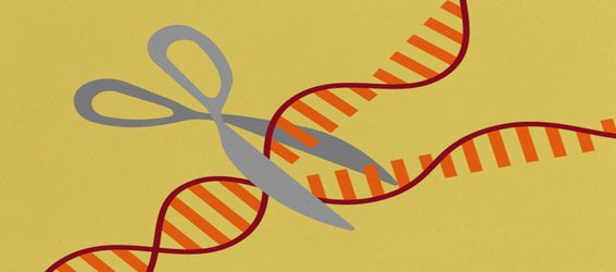 Trove of CRISPR-like gene-cutting enzymes found in microbes