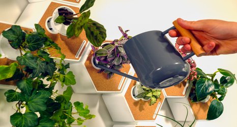 Design Engineering graduates develop mini green wall for the home 