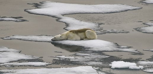 Arctic sea ice hits 2021 minimum