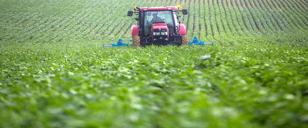 New rules will make UK gene-edited crop research easier