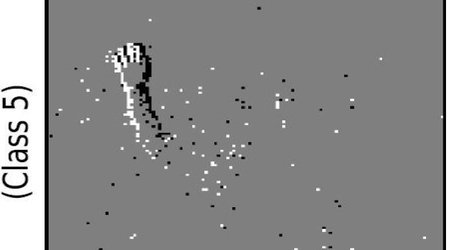 Brain cell differences could be key to learning in humans and AI 