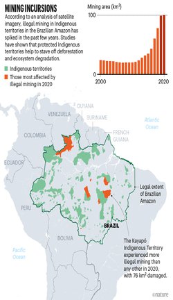 Vanishing rainforest and how to catalogue brain cells — the week in infographics