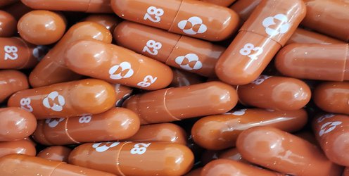 How antiviral pill molnupiravir shot ahead in the COVID drug hunt
