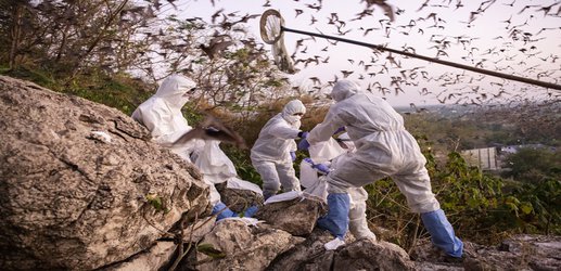 WHO names researchers to reboot outbreak origin investigations
