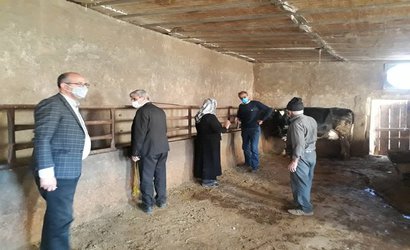 حضور گروه یاوران تولید علوم دامی مرکز تحقیقات و آموزش کشاورزی و منابع طبیعی استان اردبیل در شهرستان کوثر