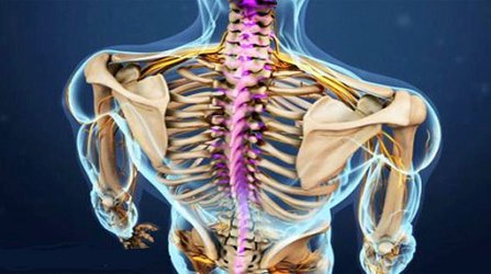 اندام هایی که به دلیل پوکی استخوان سریع شکسته می شود/مهمترین عامل جلوگیری از پوکی استخوان را بشناسید