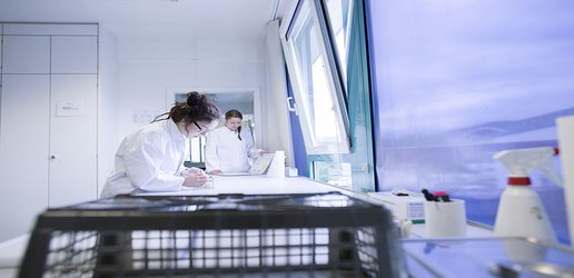 Scientists’ early grant success fuels further funding