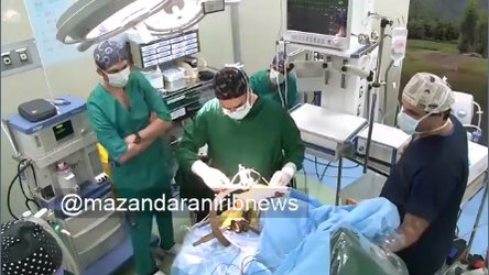 گزارشی از راه اندازی چهارمین مرکز جراحی کاشت الکترود مغزی کشور در مازندران - ۱۴۰۰/۰۸/۱۱