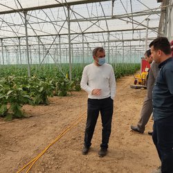 بازدید عضو هیات علمی موسسه تحقیقات گیاه‌پزشکی کشور از گلخانه‌های استان اردبیل