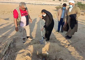 توسط انجمن دیده‌بان زیست‌بوم برازجان انجام گرفت؛
کاشت ۲۲ نهال به نام پرستاران و شهدای سلامت شهرستان دشتستان
