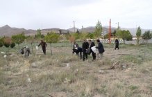 اجرای طرح بی زباله توسط دانشگاهیان دانشگاه تفرش
