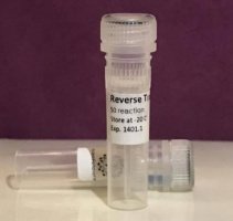 تولید و تجاری‌سازی آنزیم تشخیص کووید -۱۹ بومی‌سازی شد