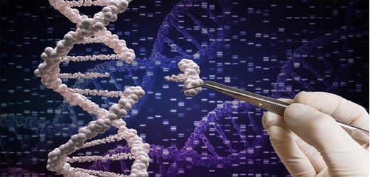 وبینار «استفاده از غربالگری ژن ها با استفاده از روش های بیوانفورماتیک» برگزار می شود