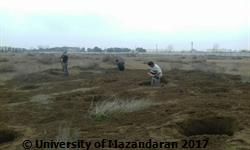 آغاز عملیات ایجاد برکه و کاشت درختان هیرکانی در پردیس دانشگاه مازندران