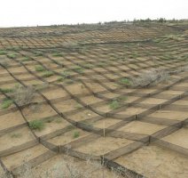 شیوه‌های نوین کنترل فرسایش بادی و تثبیت ماسه‌های روان در بیابان‌های کاشان اجرا می‌شود