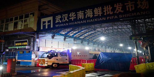 Wuhan market was epicentre of pandemic’s start, studies suggest